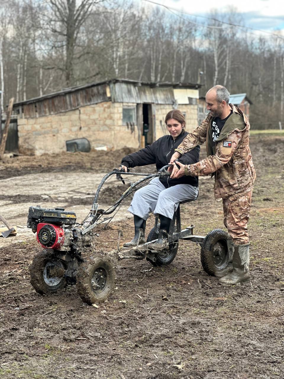 Лошади и поле на закате